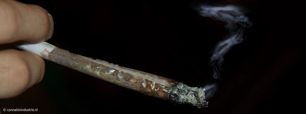 Val Kabinet Rutte IV én Rutte zelf weg: implicaties voor cannabisbeleid en wietproef