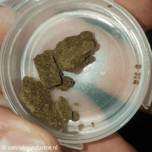 Filtered Chem Dawg Hasj TerpsArmy