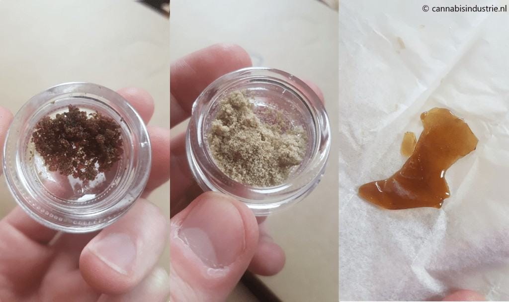 highlife cup 2021 extracties categorie O