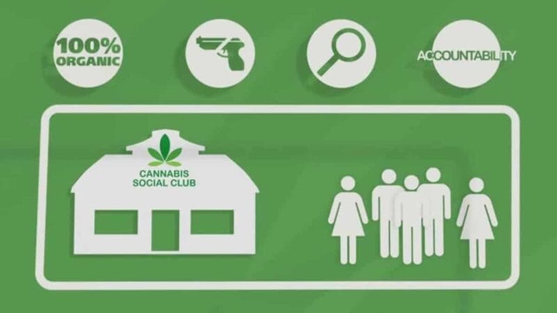Cannabis Social Clubs in Barcelona onder druk na intrekking gemeentelijke vergunning