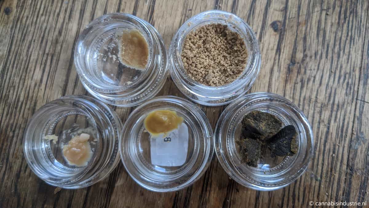 Puffco Proxy review met BHO rosin full melt ice-o-lator drysift Marokkaanse hasj