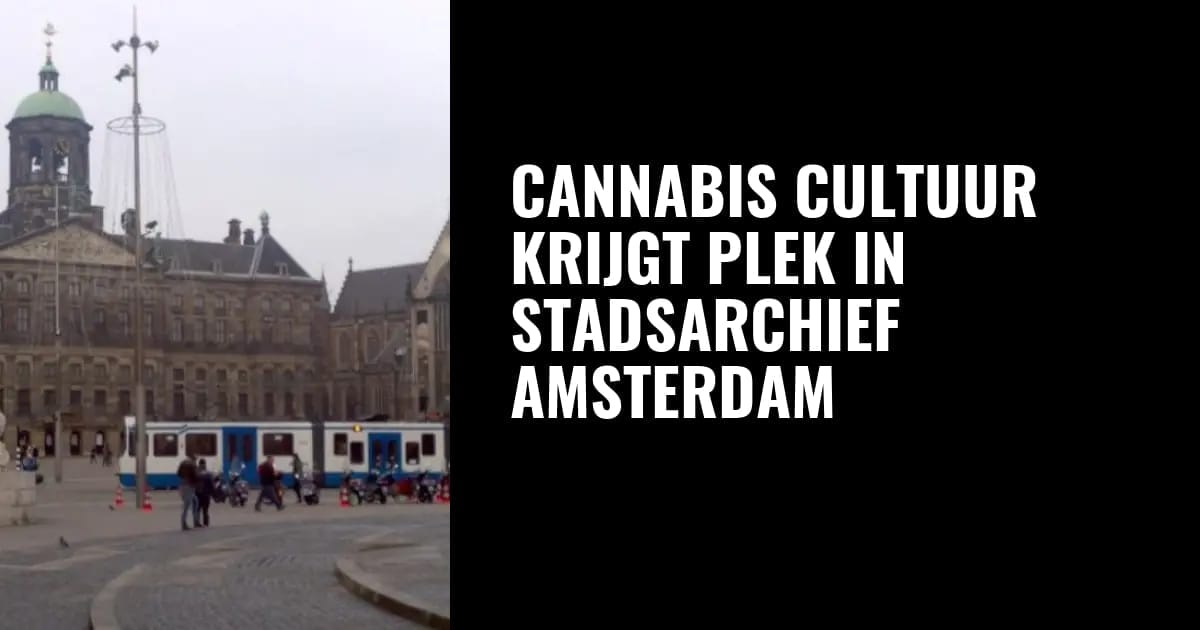 Cannabis cultuur krijgt plek in Stadsarchief Amsterdam