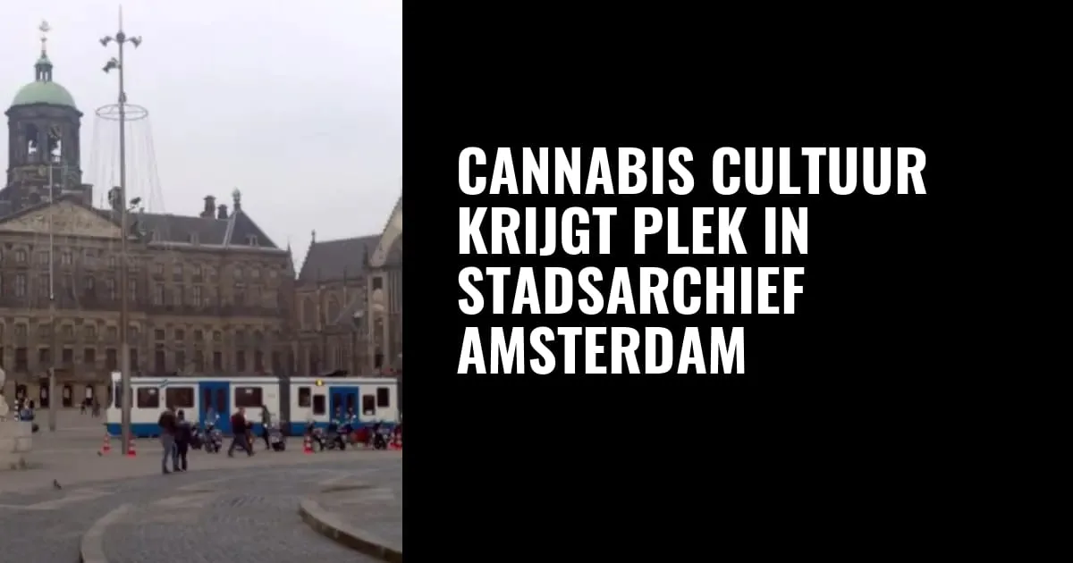 Cannabis cultuur krijgt plek in Stadsarchief Amsterdam