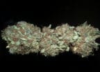 Smoke Report: CBD Nordle (CBD Crew)