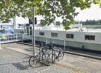 Column Bruce van Dam: ‘Laat de coffeeshopboten niet verdrinken’