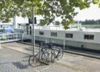 Column Bruce van Dam: ‘Laat de coffeeshopboten niet verdrinken’