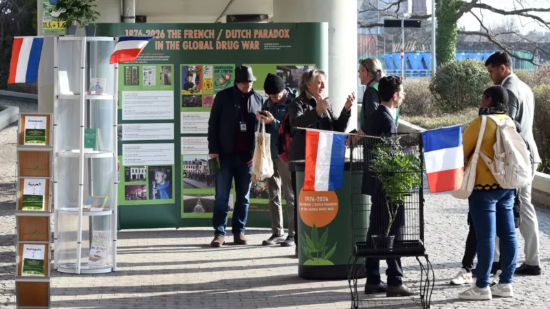 French-Dutch Paradox: expositie over halve eeuw gedoogbeleid en Franse cannabisstrijd deed al vier landen aan