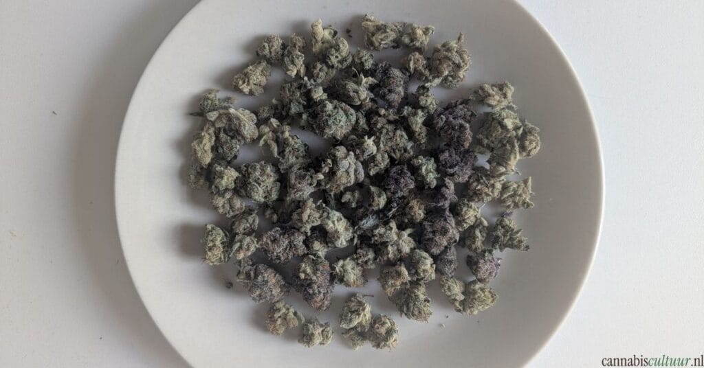 Pot by Noids review 10 gram wiet