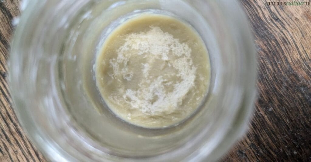 Pot by Noids review resultaat infused kokosolie uit de koelkast